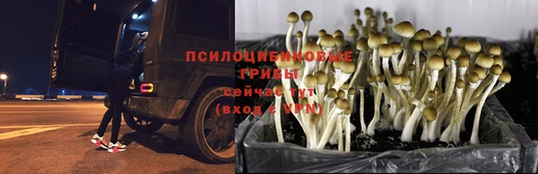 метадон Абинск