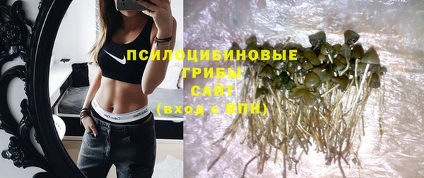 ГАЛЛЮЦИНОГЕННЫЕ ГРИБЫ Алексин