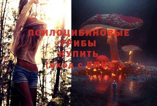 метадон Абинск